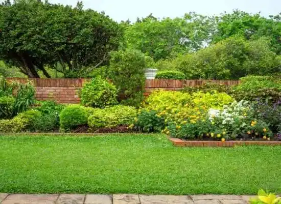 landscaping services Lauderdale